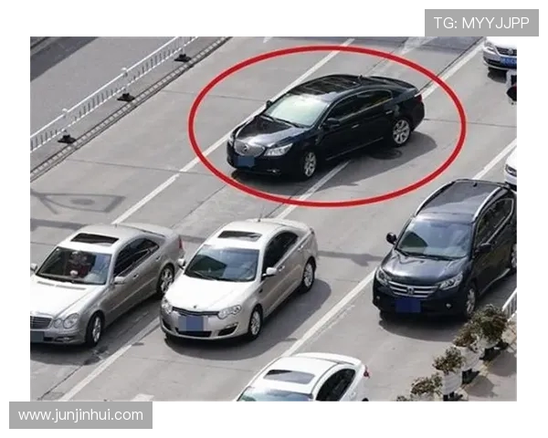 河南足球教父画像遭泼红漆 成都球迷极端行为引发公愤(1)